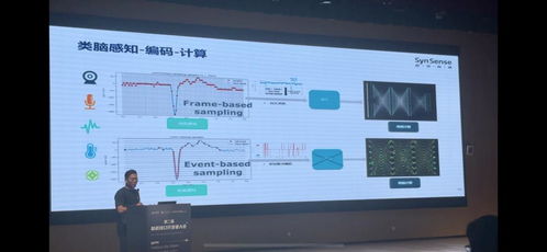 第二屆腦機接口技術開發者大會在蓉舉辦，聚焦前沿技術開發與產業融合